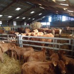 intérieur de la stabu