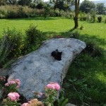 ec53d85f5807f020c0fb413ce3ee5faa (1)